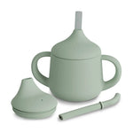 Nestwell Baby first-stage infant sippy cup 4oz with straw and spout lids